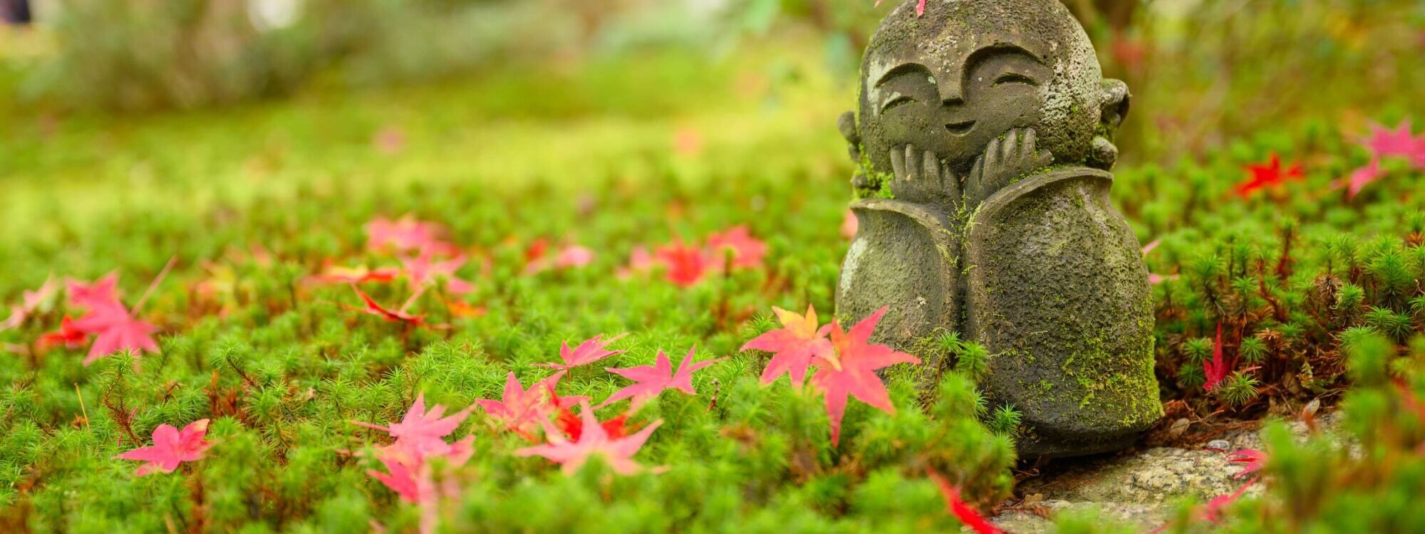Quels sont les avantages d&#8217;un jardin zen ? Colmar