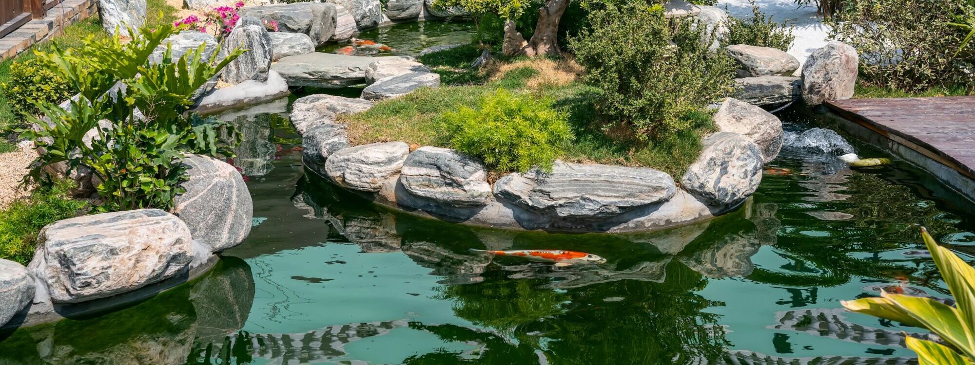 Comment construire un bassin esthétique dans son jardin ? Riedisheim