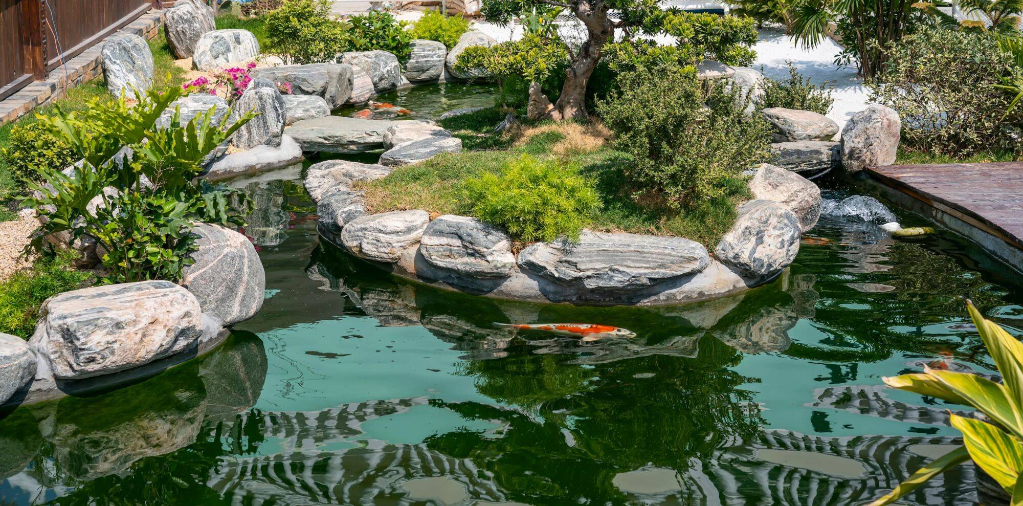 Comment construire un bassin esthétique dans son jardin ? Riedisheim