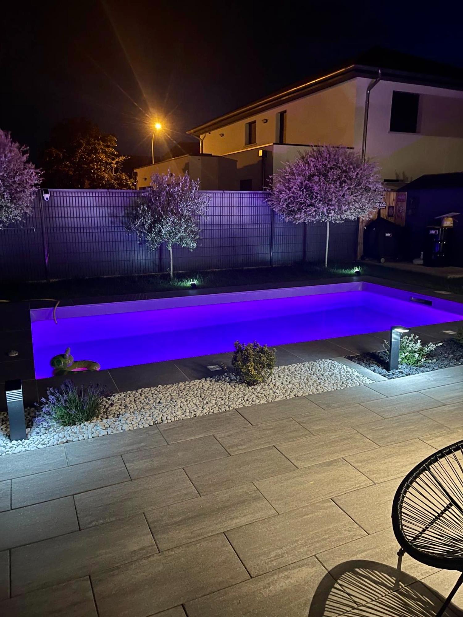 Piscine / Terrasse Riedisheim 39